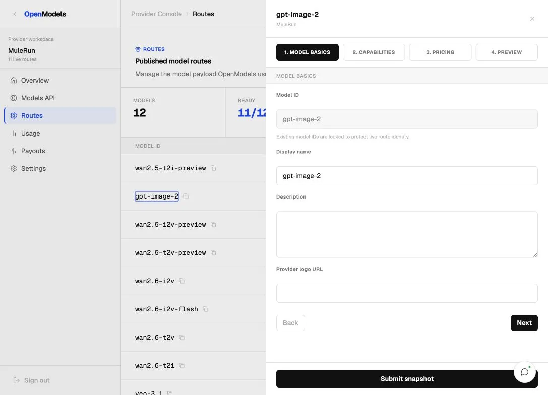 Provider route editor model basics step with model ID, display name, description, and provider logo URL