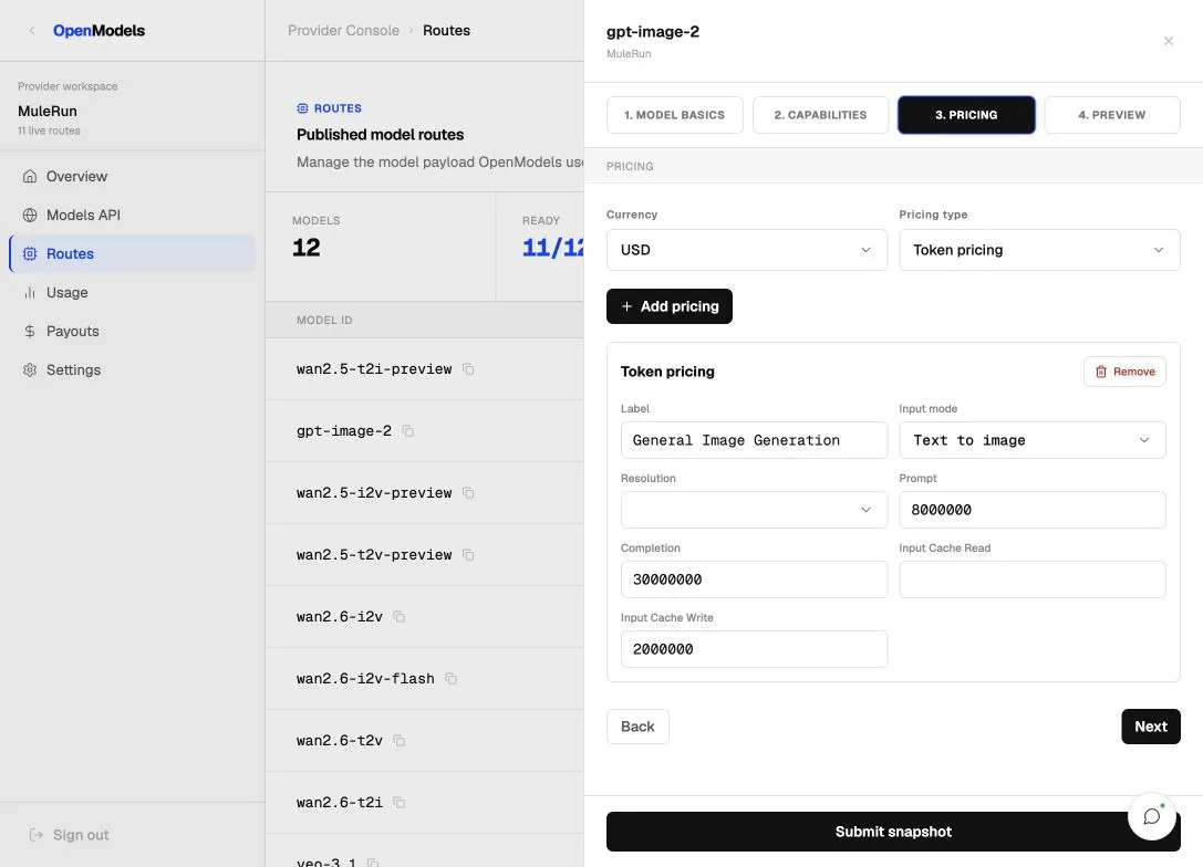 Provider route editor pricing step with pricing rows and submit snapshot action